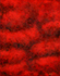 明紅葉　50F［117×92］アクリル・油彩 　2006年 　個人蔵